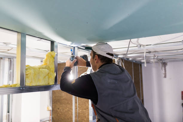Best Specialty Insulation in Wellman, IA