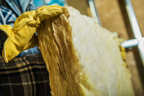 Best Insulation Maintenance and Repair in Wellman, IA